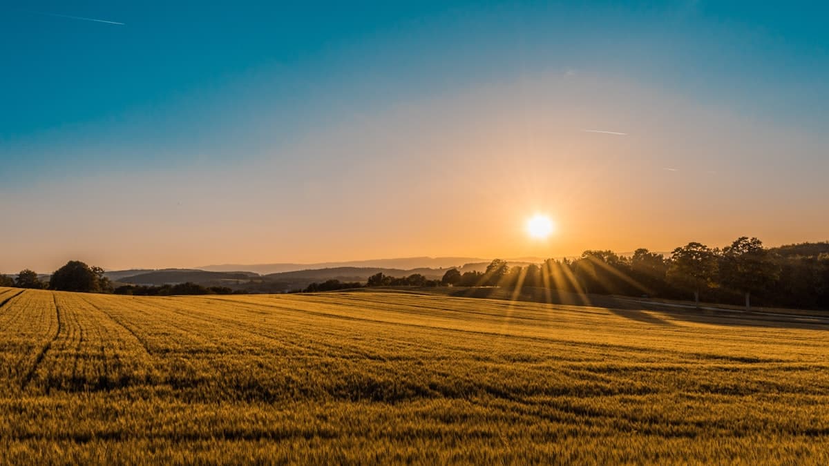 Sustainable Agriculture Implementations